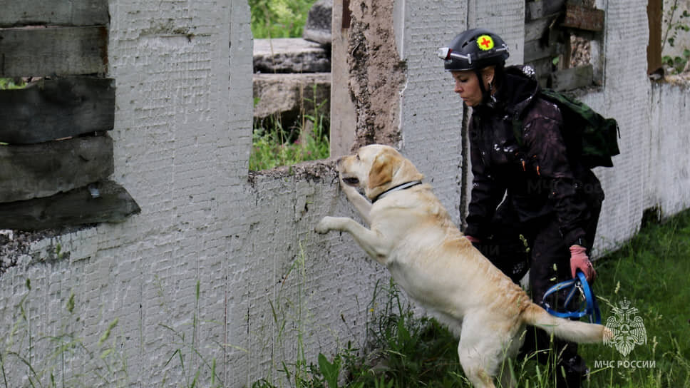 Фото: ГУ МЧС России по Ростовской области