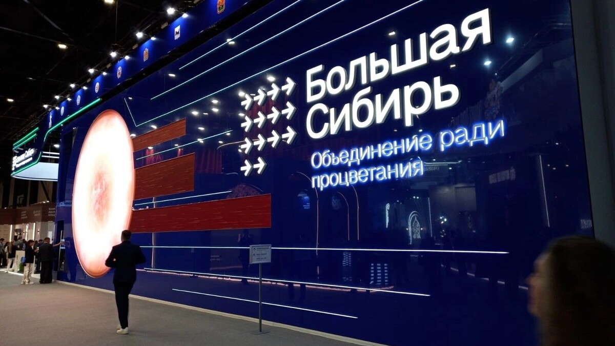     Источник: 1MI