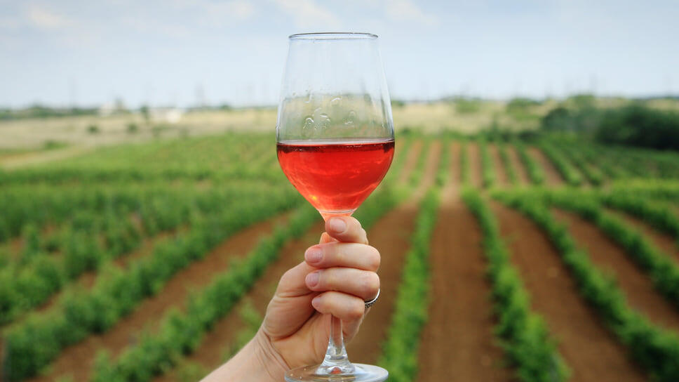 Фото: Юрий Самодуров / Коммерсантъ