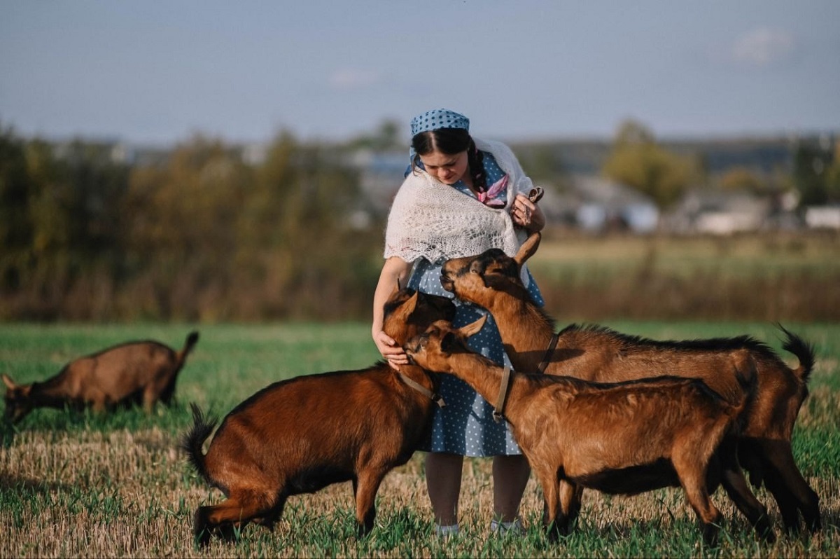    Дарья Незаева знает характер каждой козочки