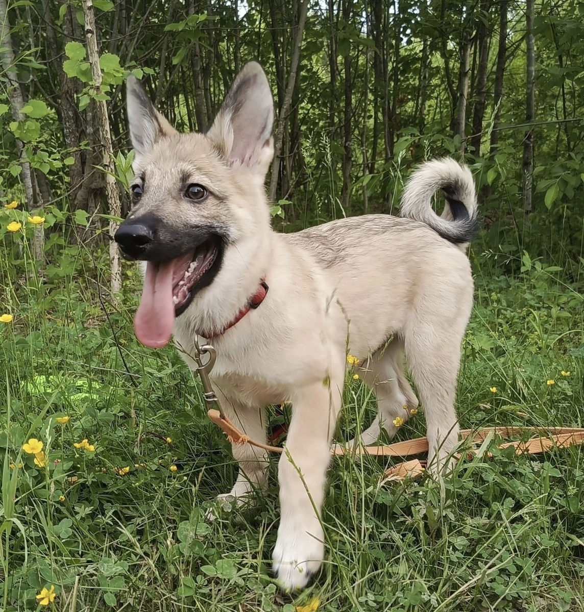 Но явно не потерял бодрость духа ✌️💪💪