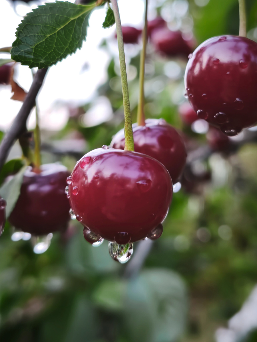 Красота мира, а мы часть его и когда внутри нет терзаний. Фото мое.