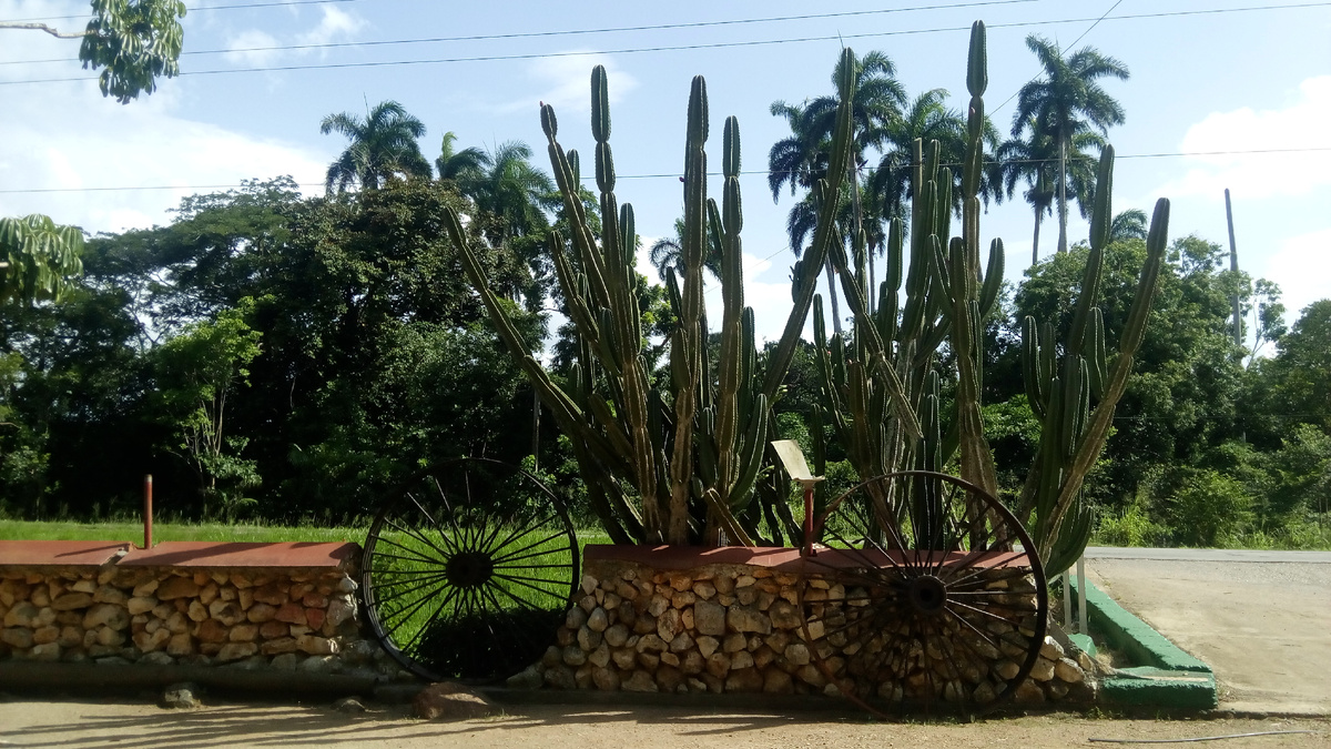 Вот такие локации