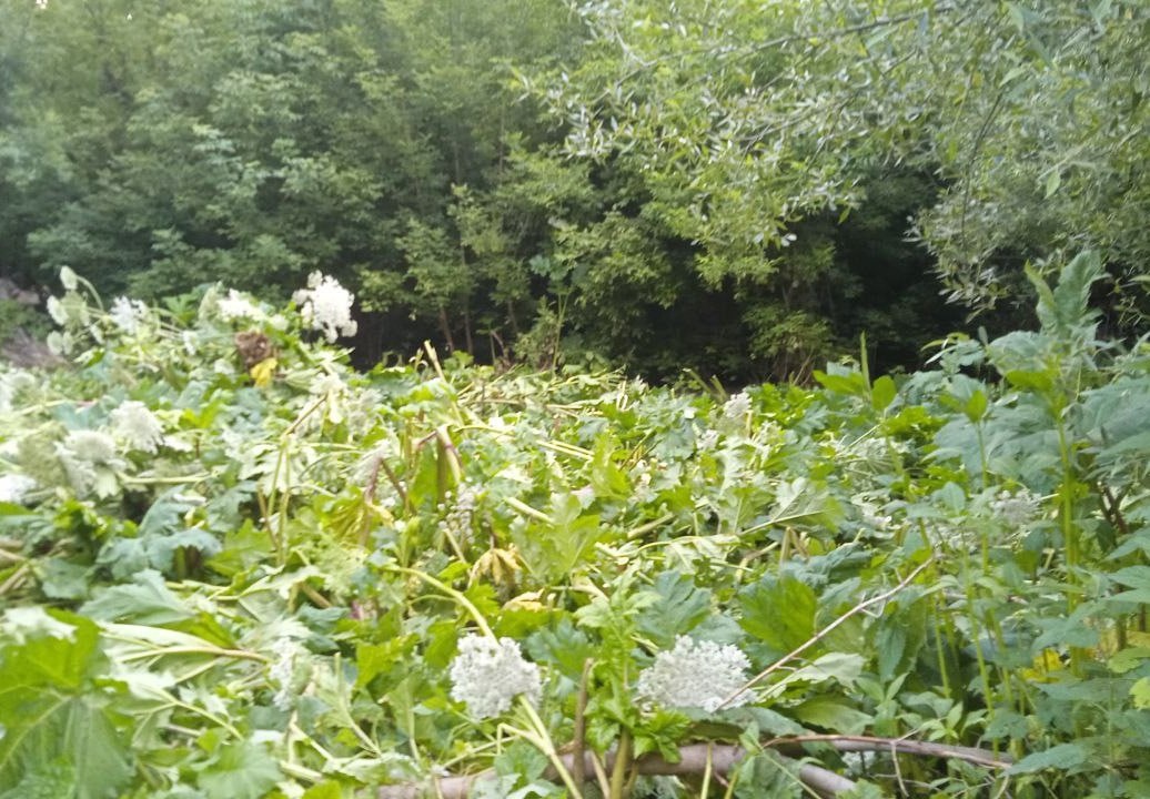 Фото: Администрация Курска