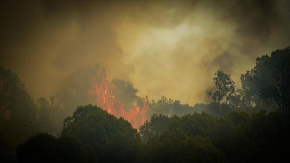    IMAGO/Idil Toffolo/Global Look Press