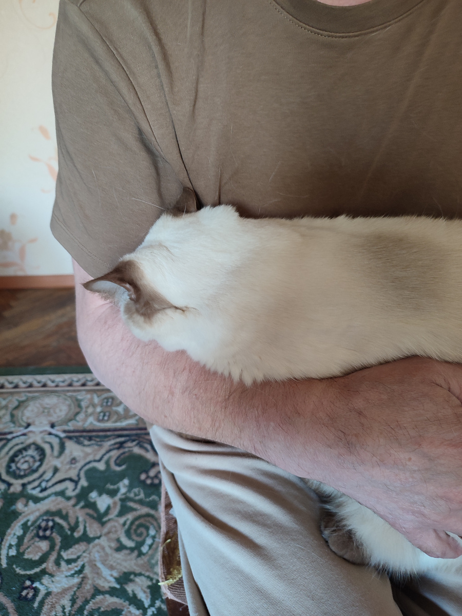 Вот так мы от ветиринара прячемся