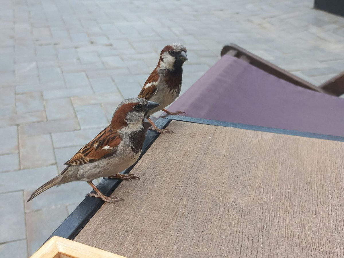 Фото автора.