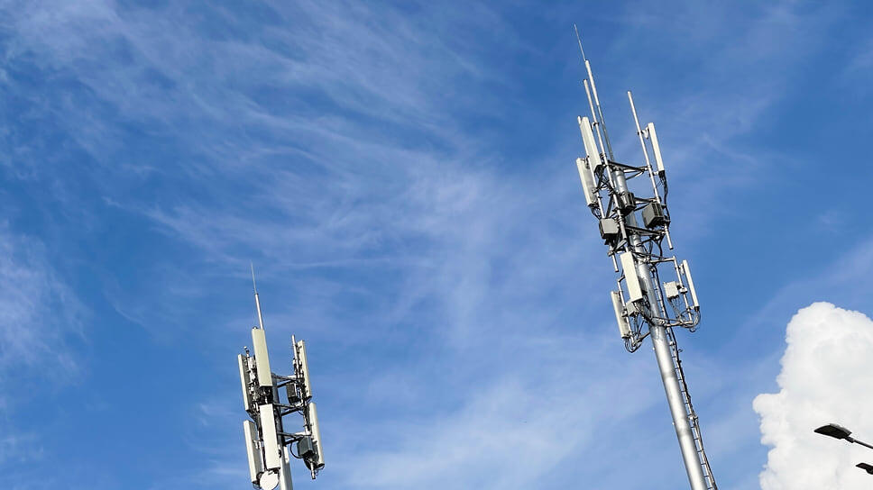 Фото: Игорь Елисеев / Коммерсантъ