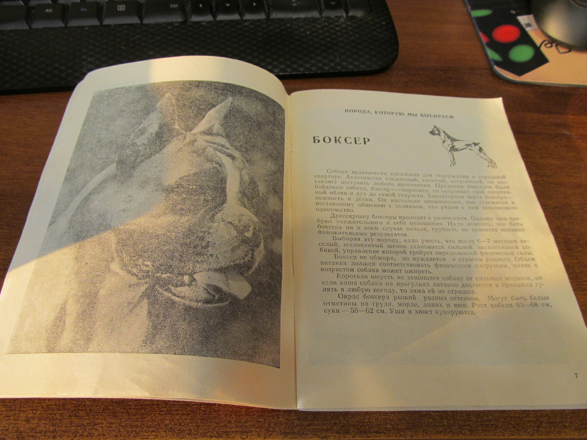 Изображение из книги [1]