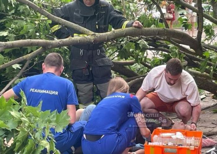 Источник фото: Соцсети