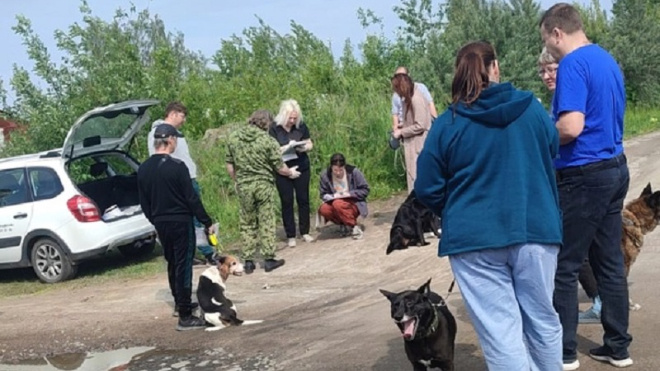 Фото: администрация города Сосновый Бор