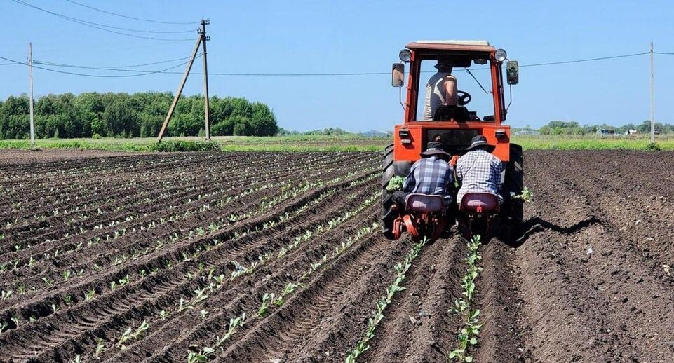    Администрация муниципального округа Луховицы