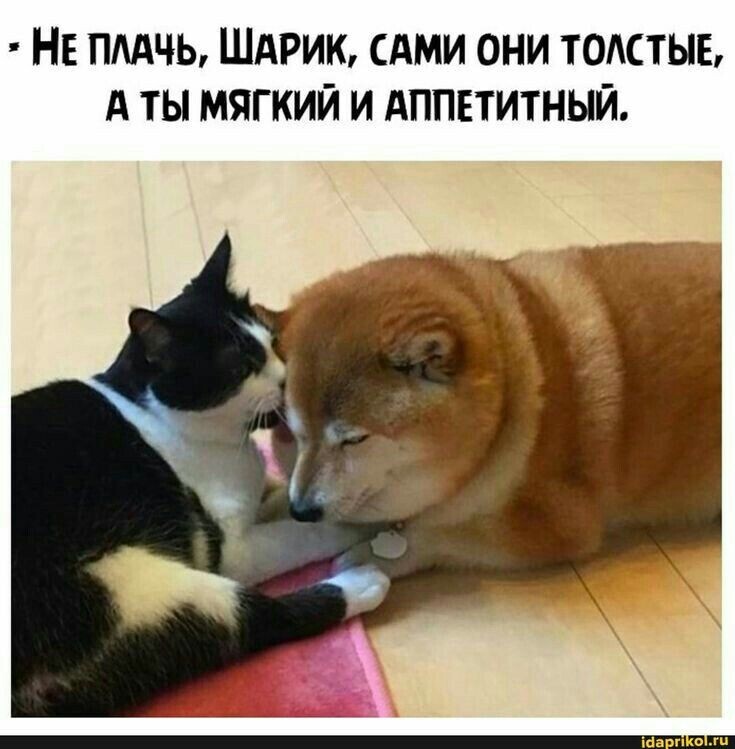 фото из интернета