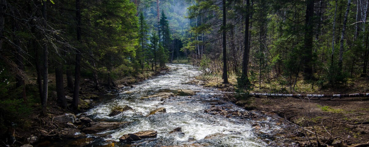 Главное, за что местные и туристы любят ЧО — природа. Челябинцы часто (и это не шутка, как челябинец говорю) называют край маленькой Швейцарией. Только вместо Альп — Уральские горы, а вместо Женевского озера — Тургояк. Фото: pxhere.com