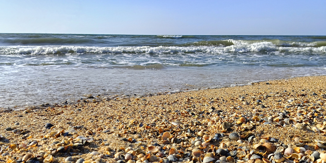 Море встретило нас жёлтым флагом 🏳️