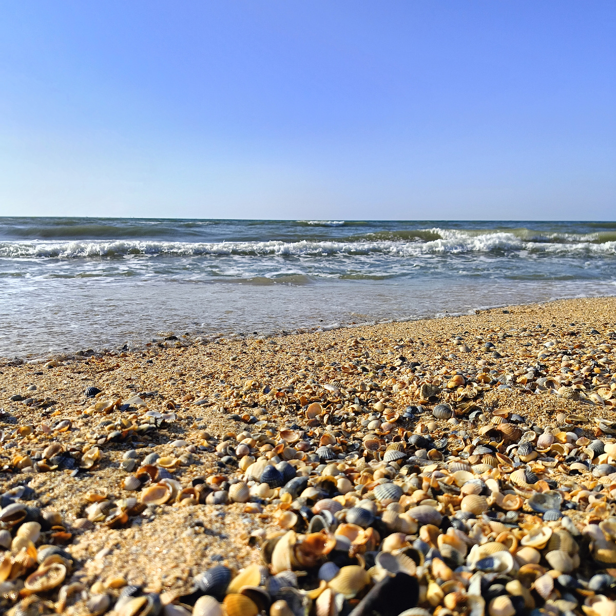 На пляже мелкие ракушки и песок. Песочные пляжи мои самые любимые. Вот гальку не люблю - ходить больно. Фото автора.