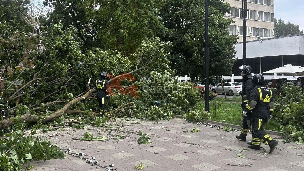     Источник: rostovgazeta.ru