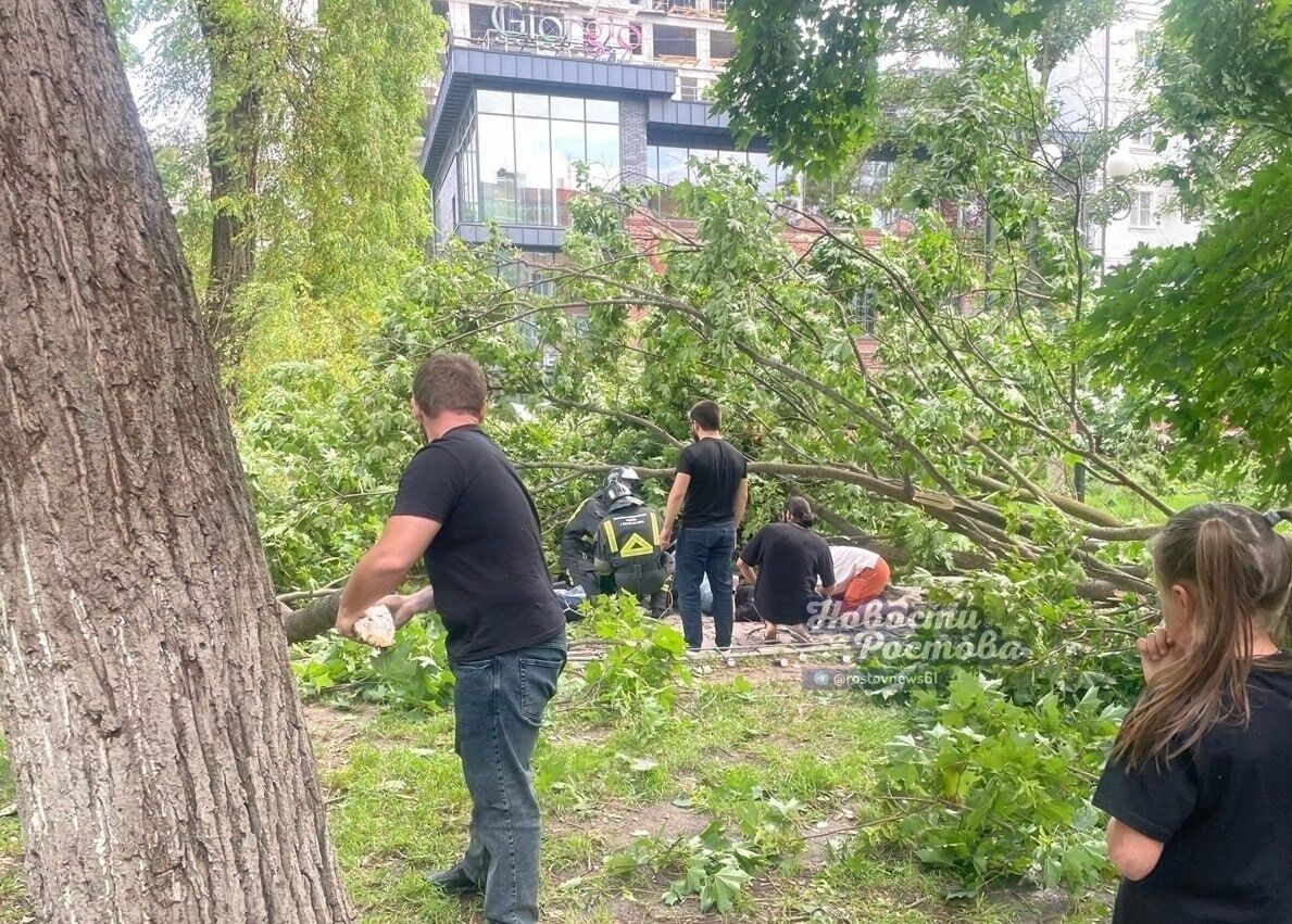     Автор: ТГ "Новости Ростова"