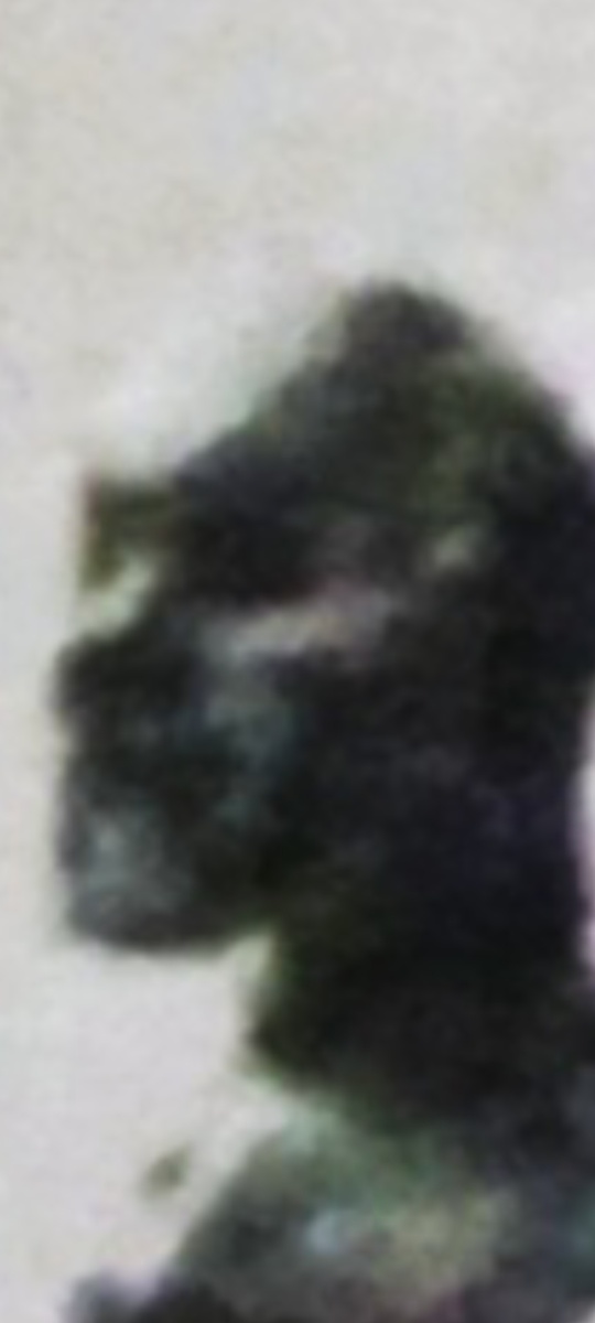 Приблизила, как могла. Получилось расплывчато. Но видно, что веки опущены.