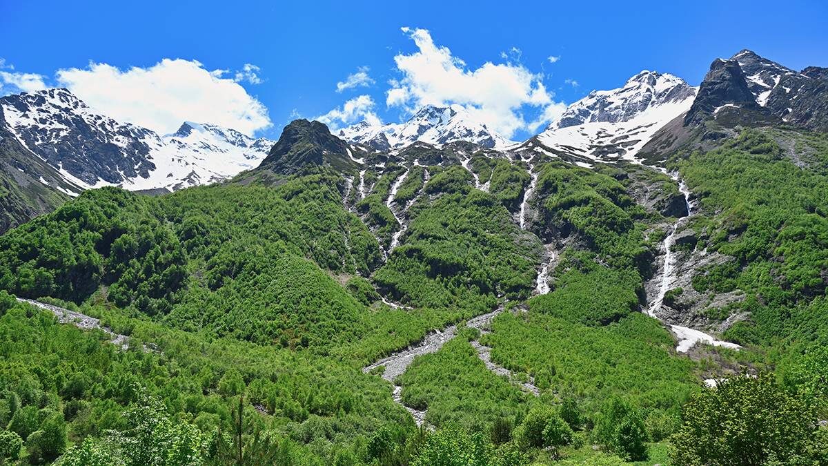    Фото: Shutterstock