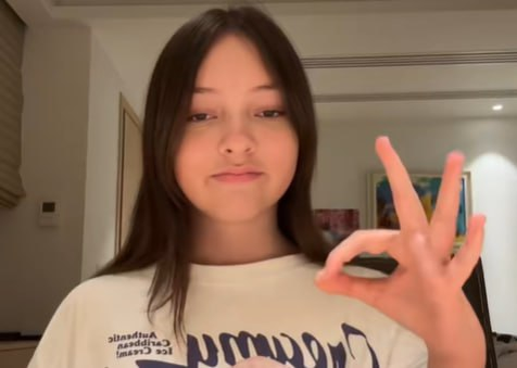 Фото: Prt Scr tiktok.com / notalla