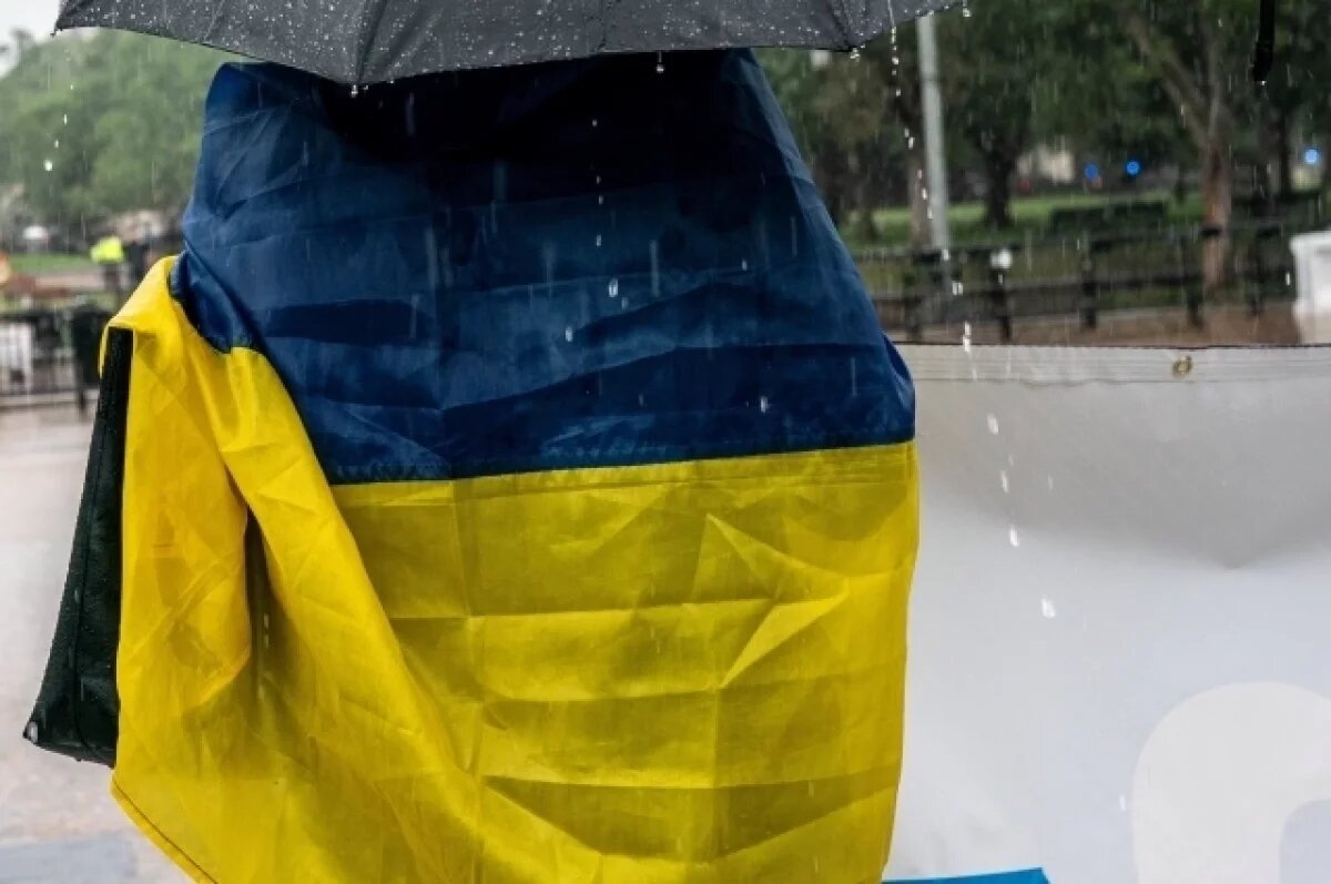    В Киеве прошла самая масштабная с начала СВО акция протеста