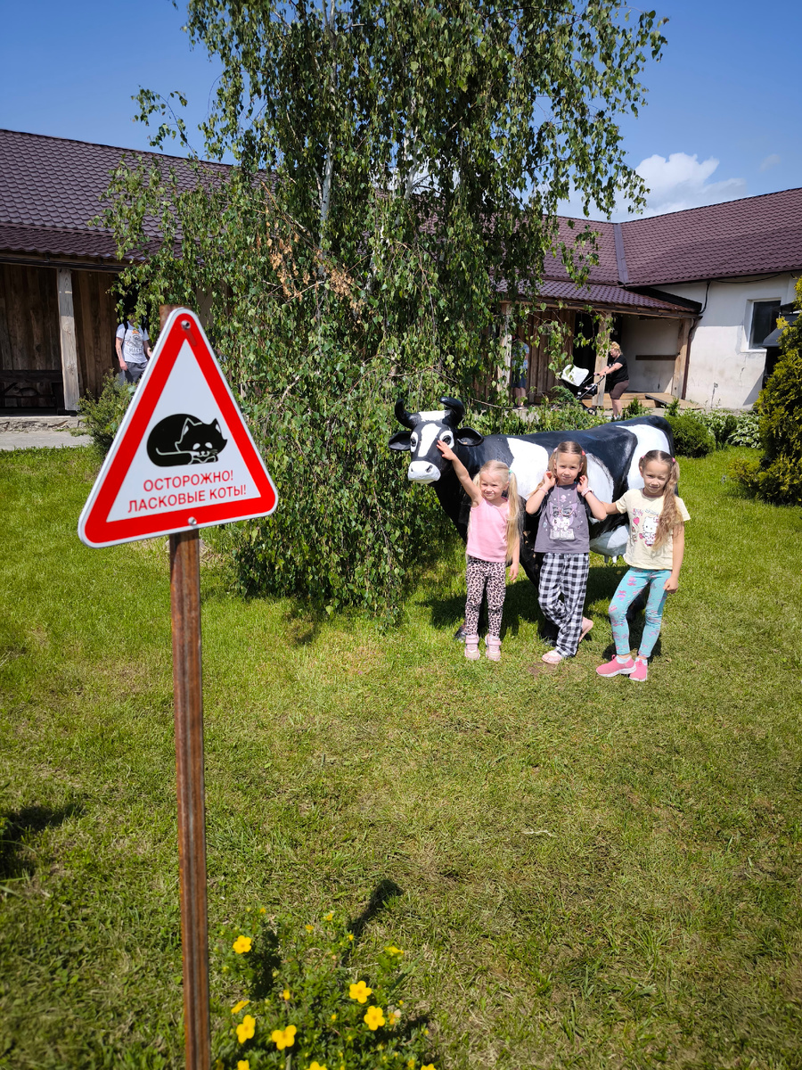 Осторожно! Везде, и правда, ласковые котики ☺️