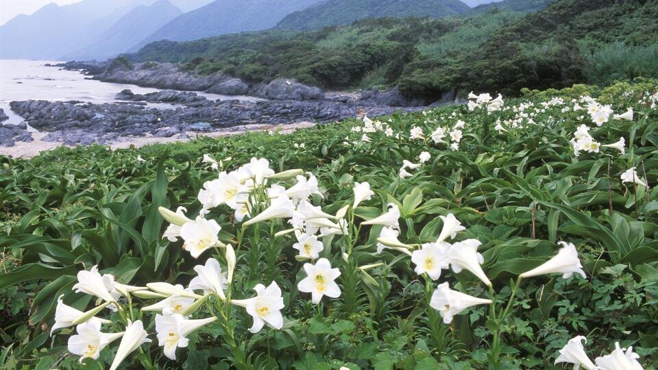 Фото: © www.globallookpress.com/Rob Tilley/F00341.2 