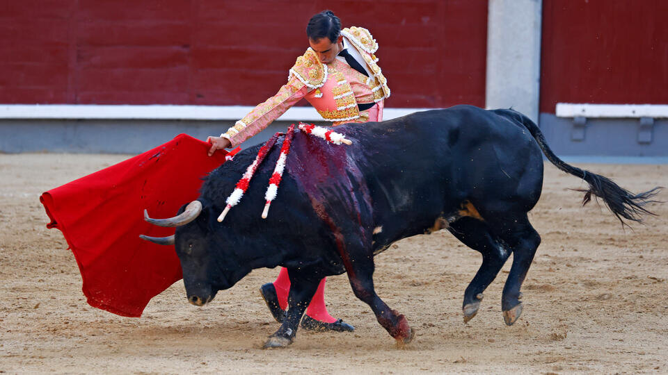 Фото: © www.globallookpress.com/Jose Velasco/Keystone Press Agency