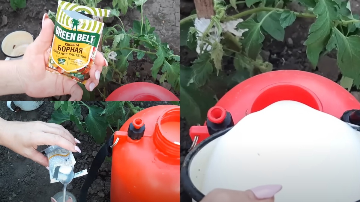 Приготовление раствора из молока и борной кислоты