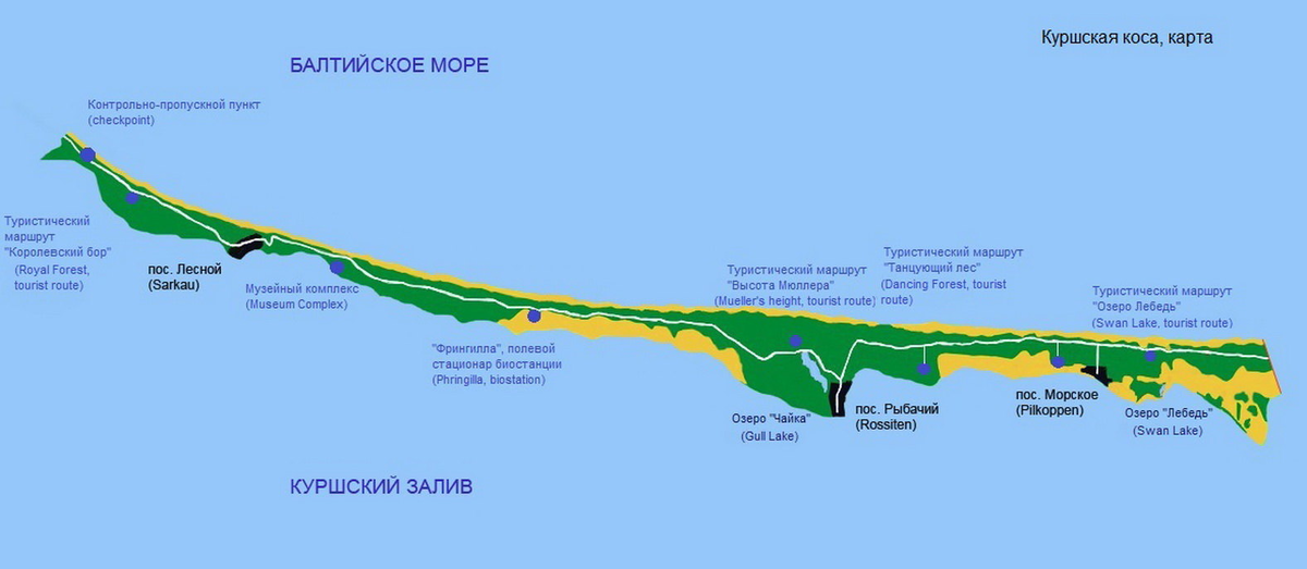 Карта Куршской косы