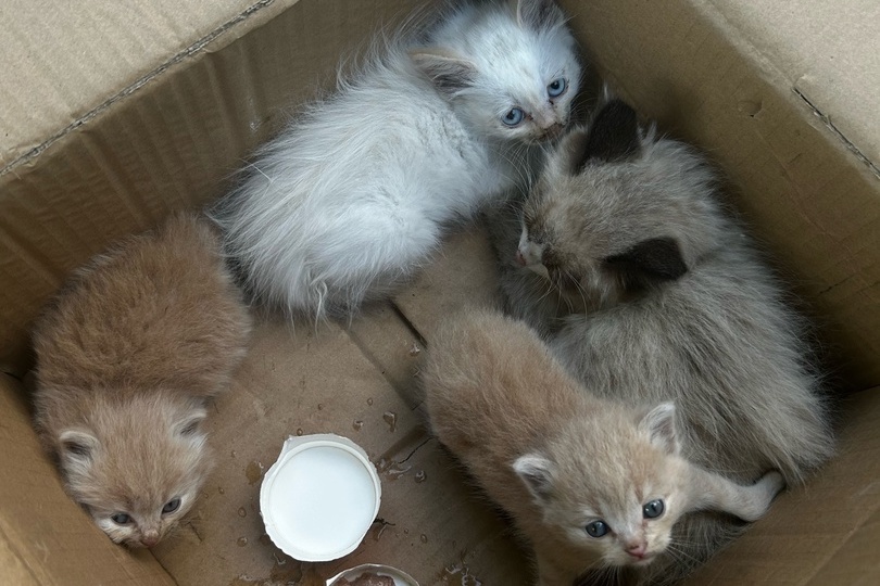 У нас +6. И это не про погоду!