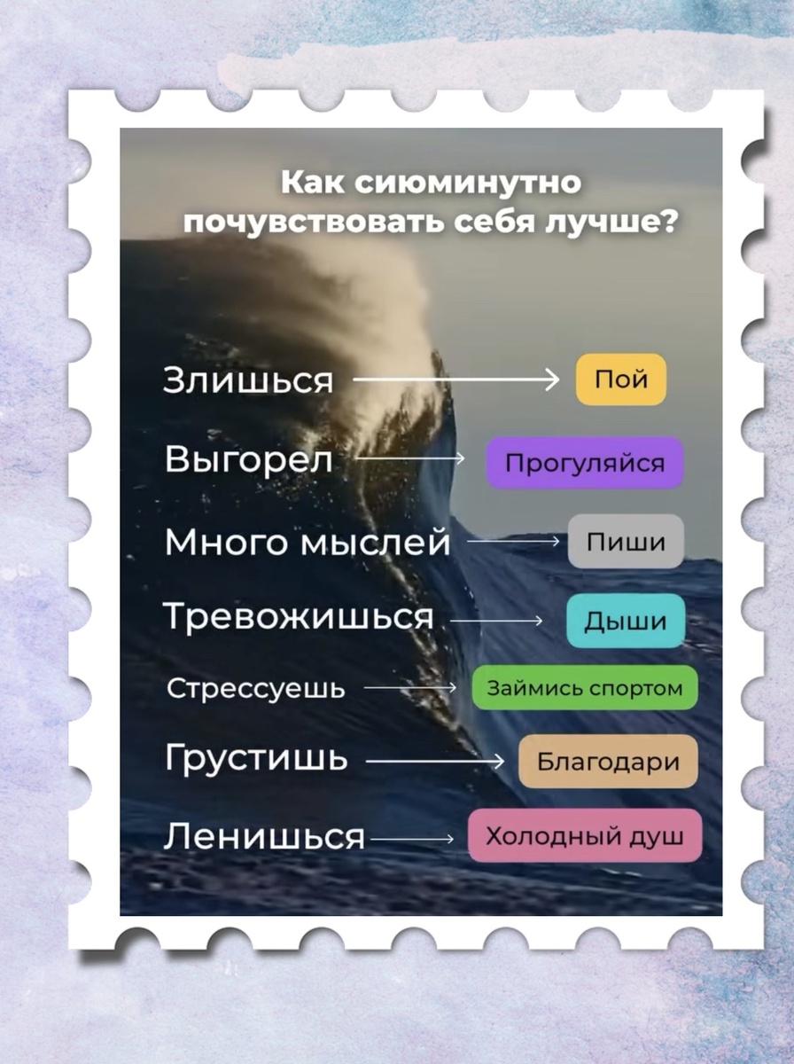 фотография из интернета 