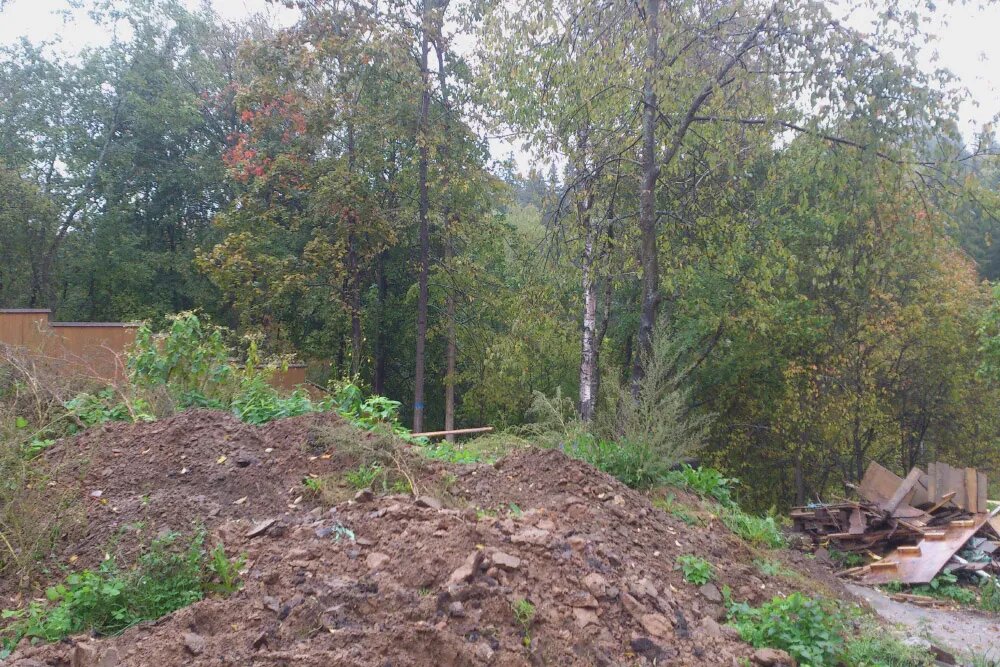 Возможно придется расчищать даже такие завалы. Фото: «Разумный сад»