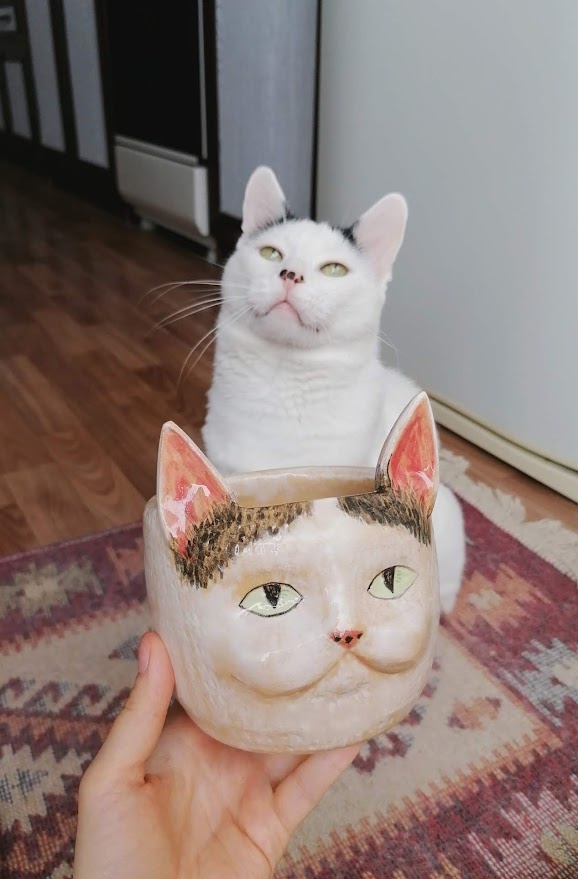 Одна из моих самых первых работ, которую я сделала, пока училась на курсе - кашпо в виде Бо. И Бо собственной персоной)