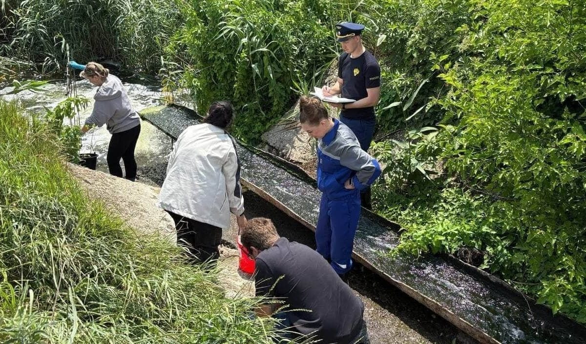    Фото t.me/proc_23