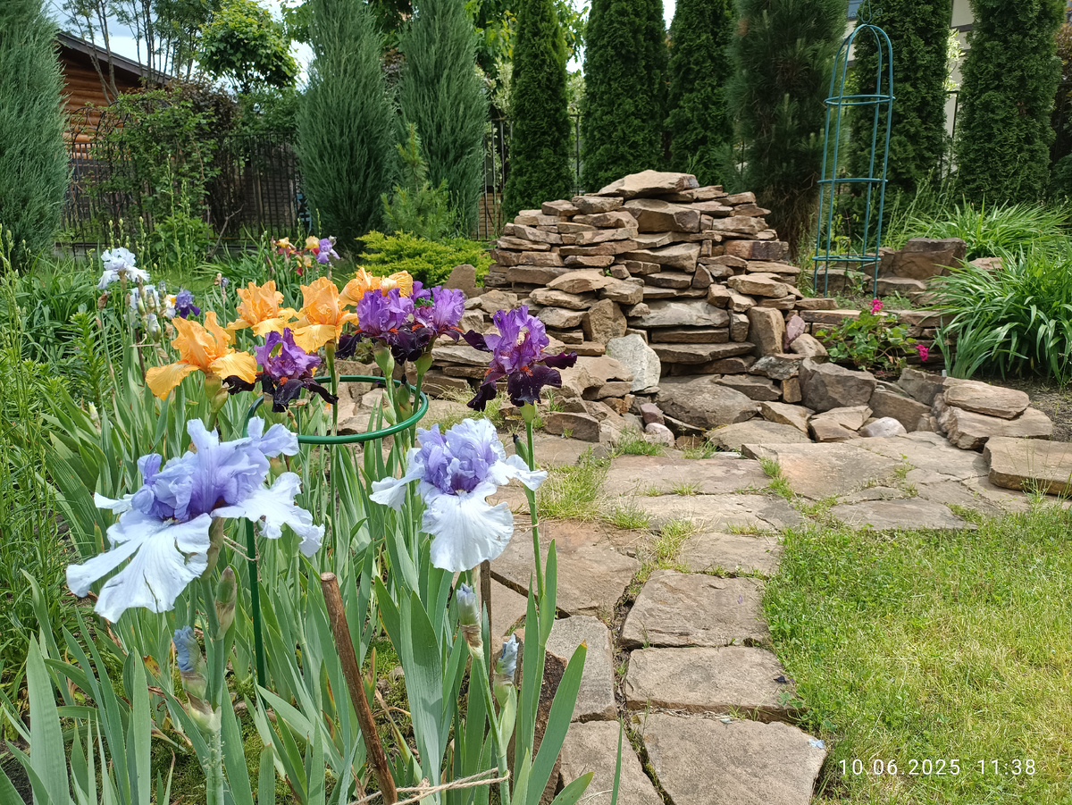 Ирисы, лилейники и хвойные в сочетании с натуральным камнем 