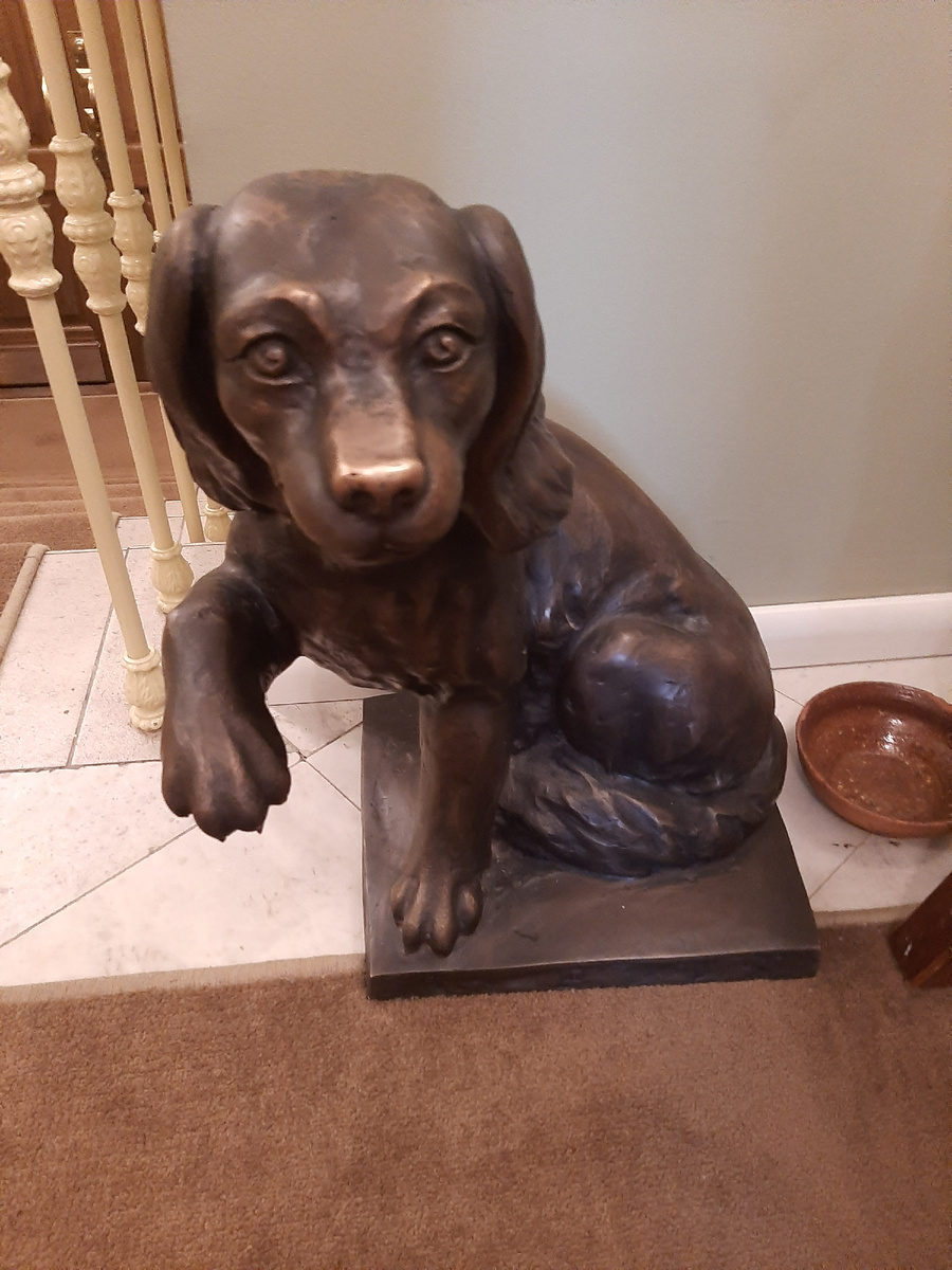 Собачка у лестницы