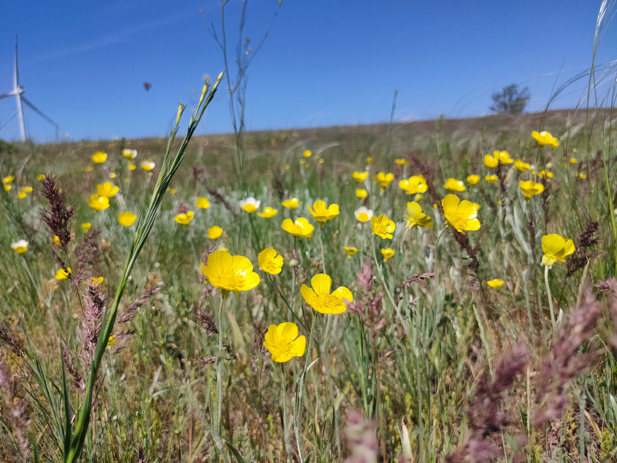 Для обложки