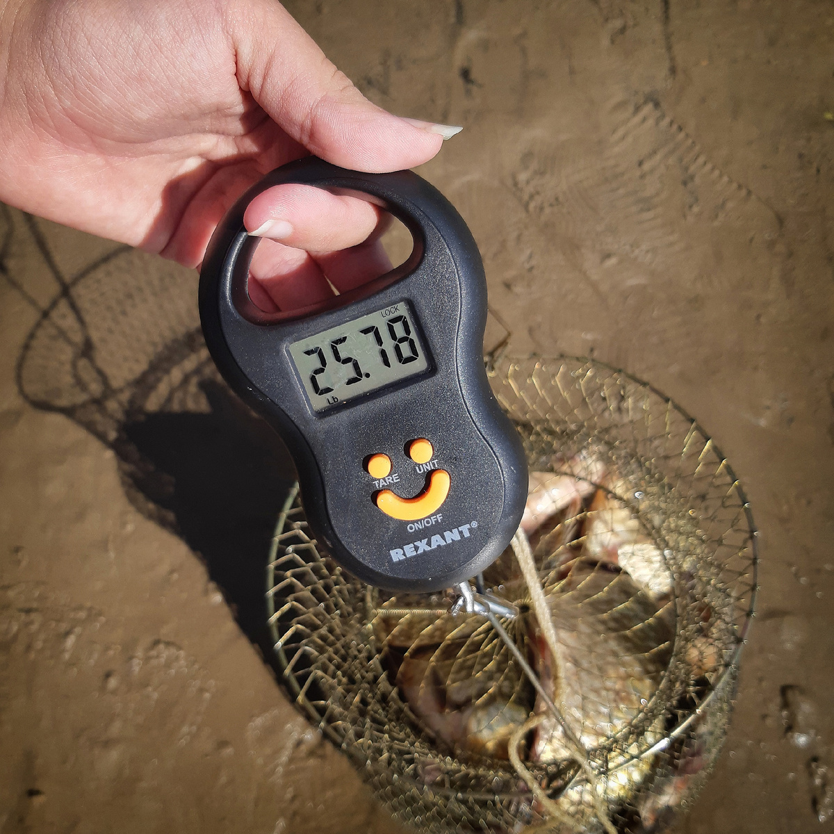 Это там же, но в английских фунтах)) Забыл переключить весы на килограммы) В них - почти 12)