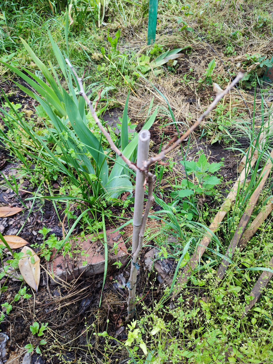 фото 12 мая 2025 г.