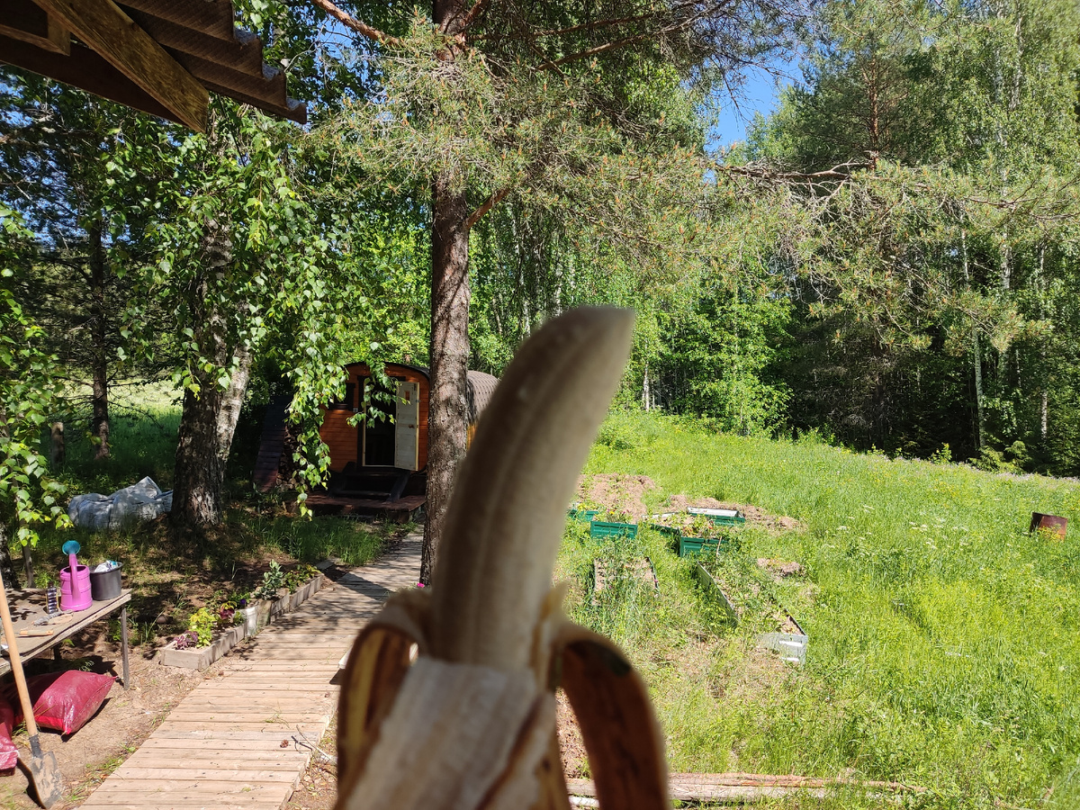 Ночами у нас холодно, кстати, всего плюс 3 - плюс 4. Да и днем ветерок прохладный, плюс 16 - плюс 18. Погода в июне бодрит. 