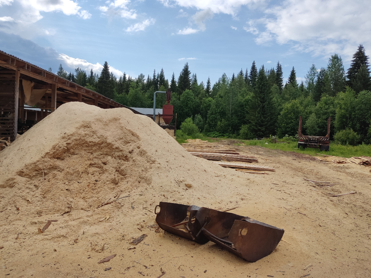 Гора опилок на лесопилке. 