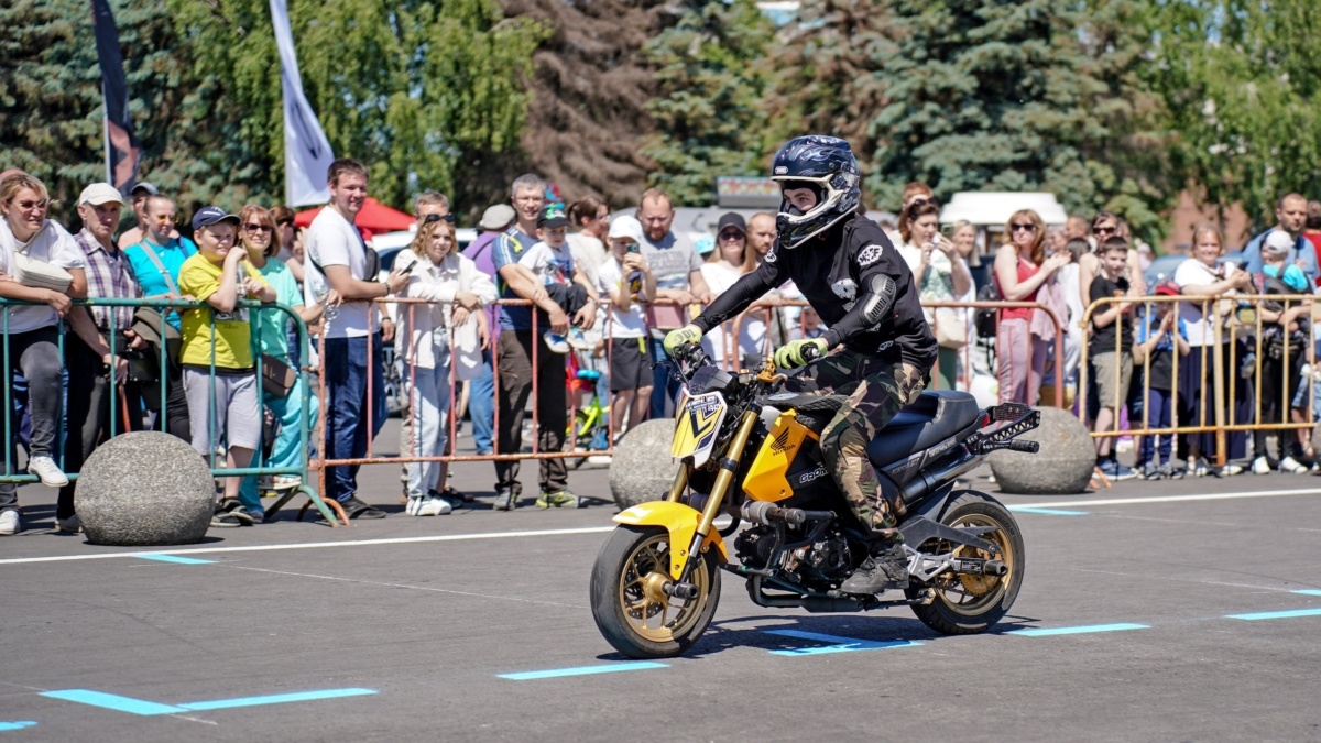 Светлана Мулыкина📷
