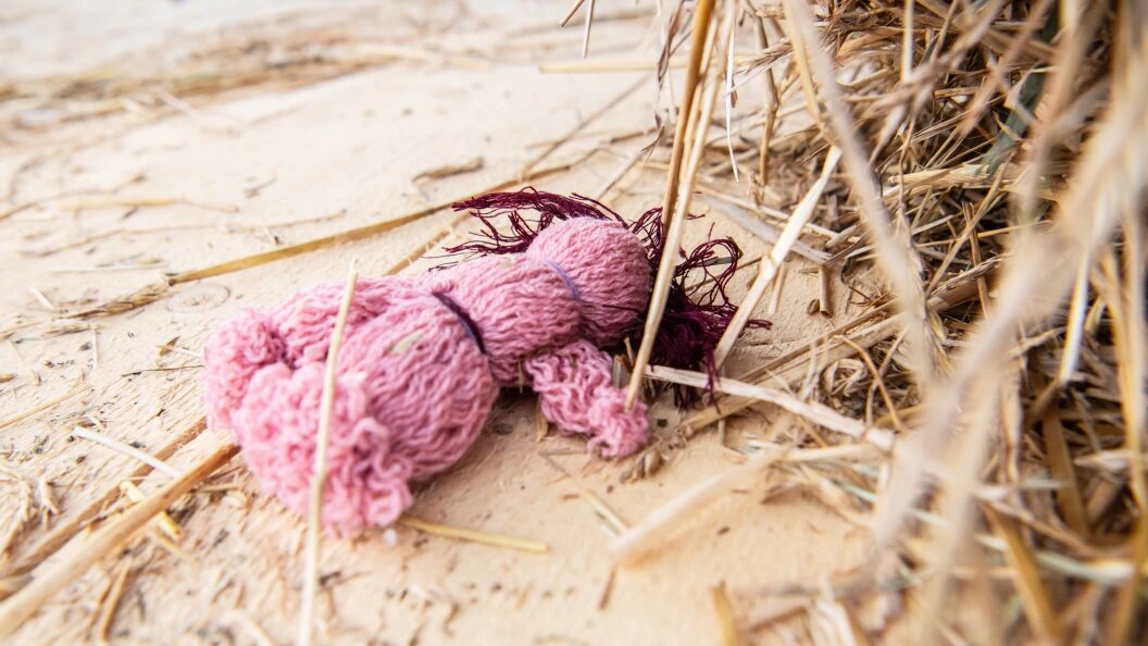    Фото: Ilya Moskovets/Globallookpress