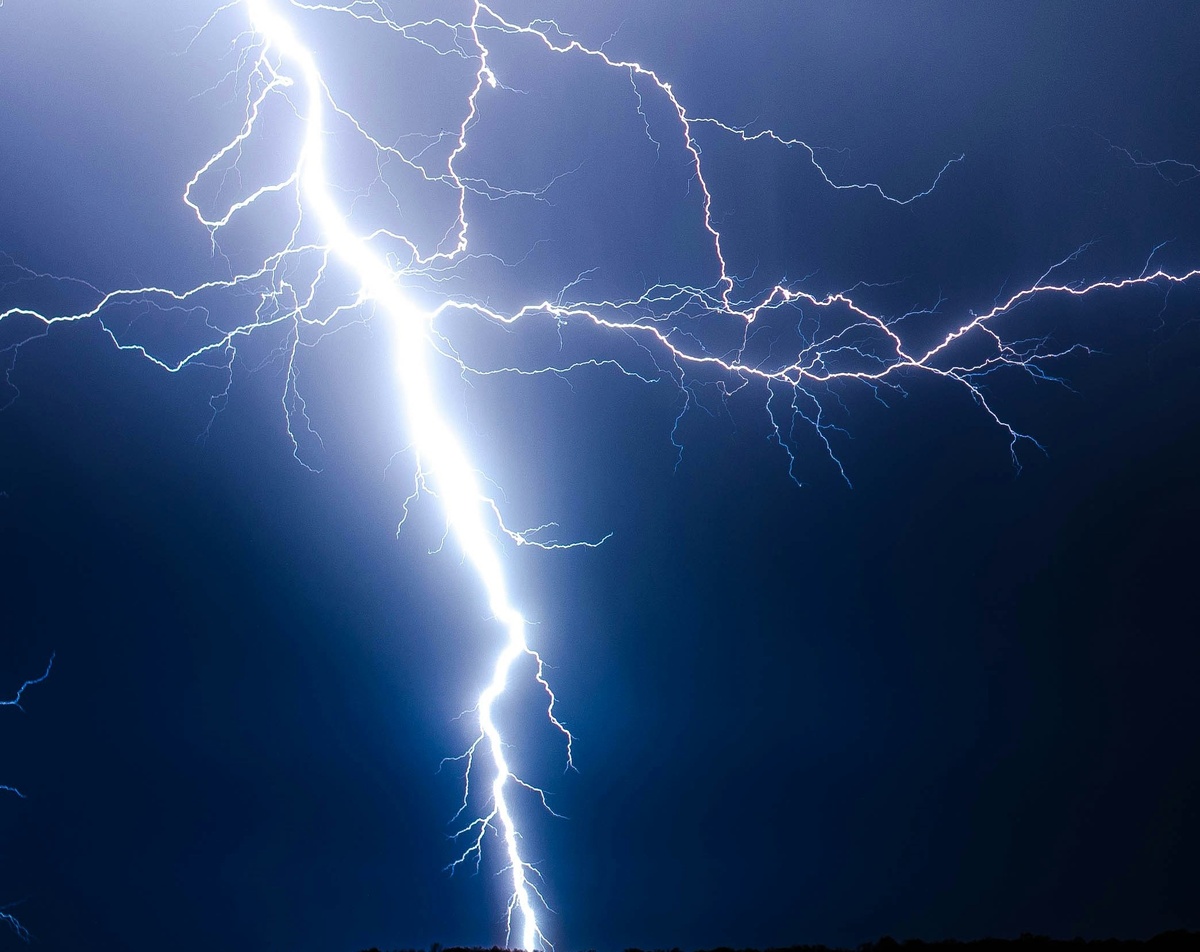 Фото: Brandon Morgan с сайта unsplash.com