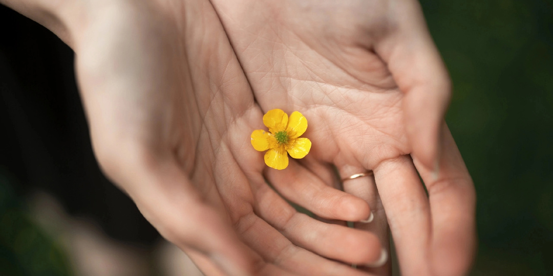 Летнее солнцестояние: прогноз на выходные 21 - 22 июня 2025 года