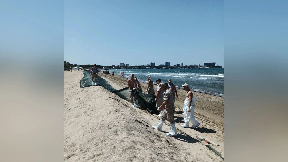    Фото: Оперативный штаб — Краснодарский край/t.me