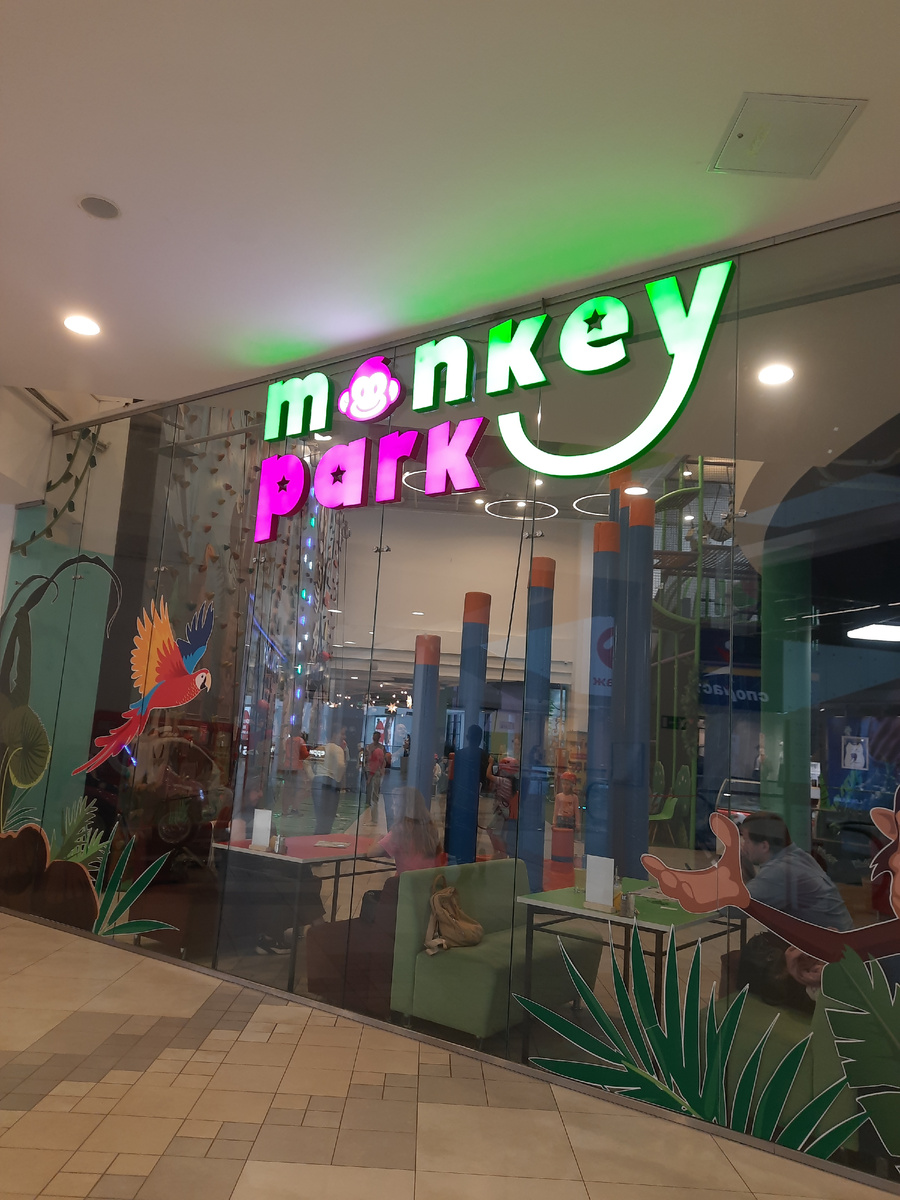 Все фото в статье автора