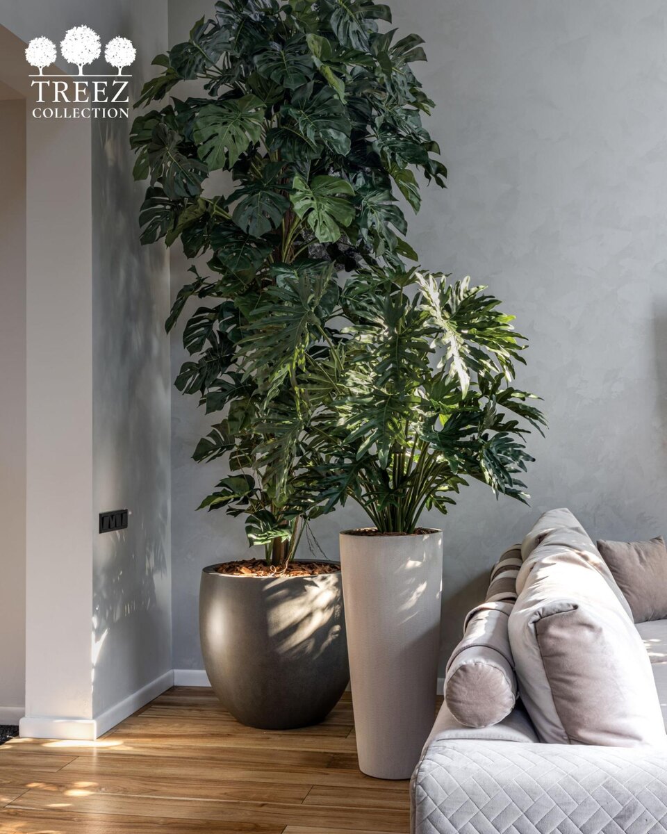 Кашпо и растения Treez Collection